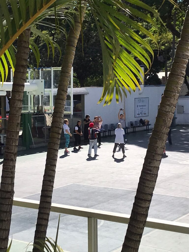 Fotos de Idosas levantando pesos, no projeto Academia da Cidade